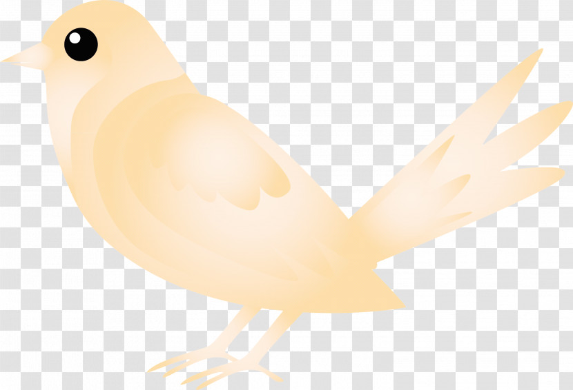 Bird Beak European Robin Songbird Perching Bird Transparent PNG