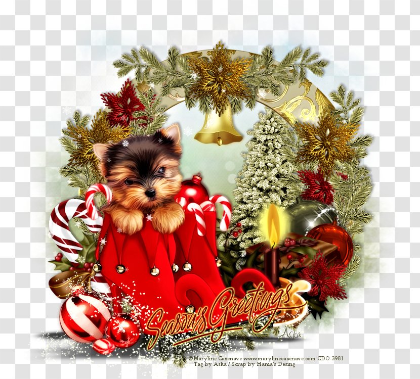 Yorkshire Terrier LiveInternet Christmas Ornament Puppy Transparent PNG
