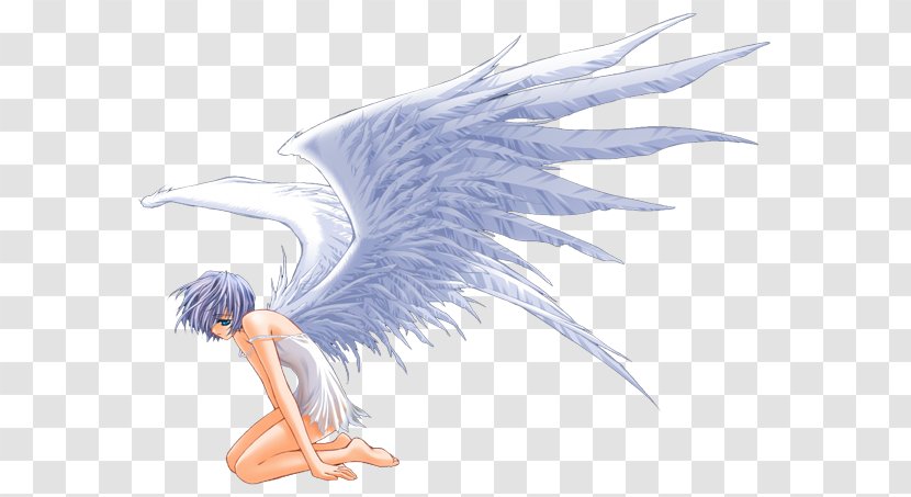 Angel Wing Cherub Bird Feather - Water Transparent PNG