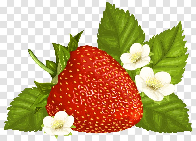 Milkshake Strawberry Cake Clip Art - Fruit - Clipart Image Transparent PNG