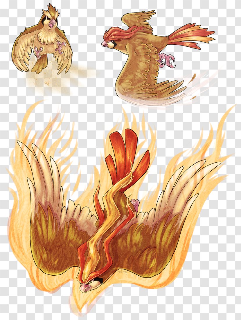 Rooster Pokémon GO Pidgeotto Nintendo - Wing - Sparrow Hawk Transparent PNG