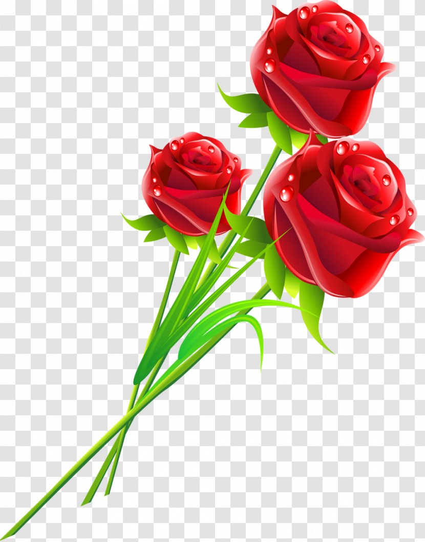 Rose Flower Love Gift Woman - Family Transparent PNG