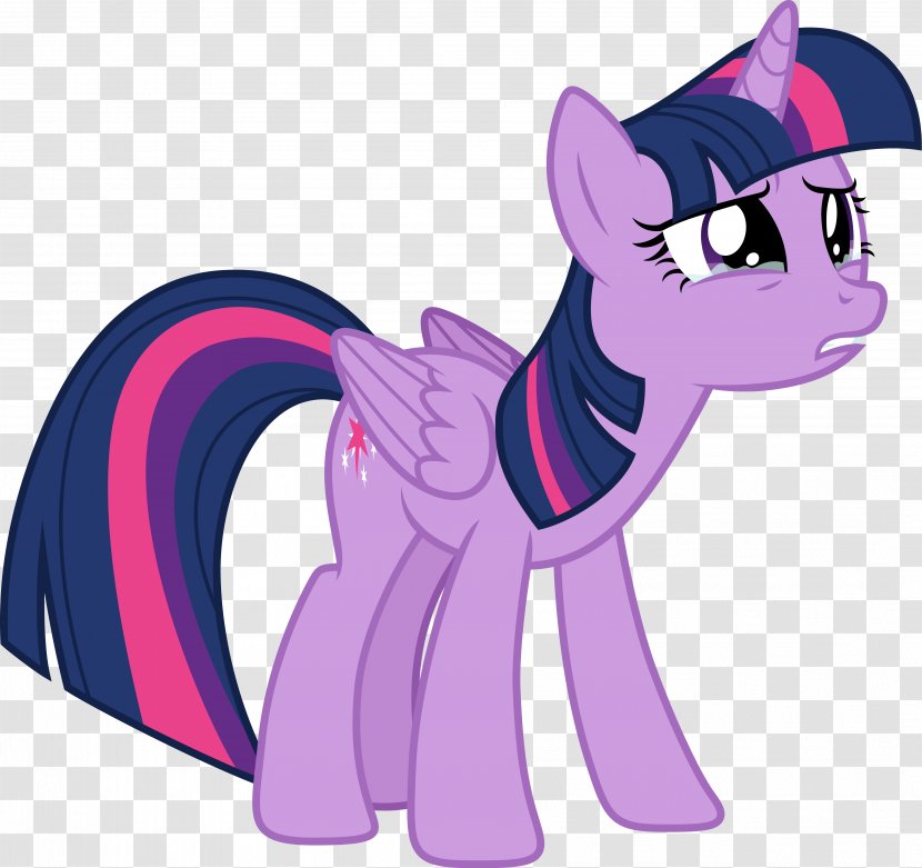 Twilight Sparkle Pony Applejack Rarity Rainbow Dash Transparent PNG