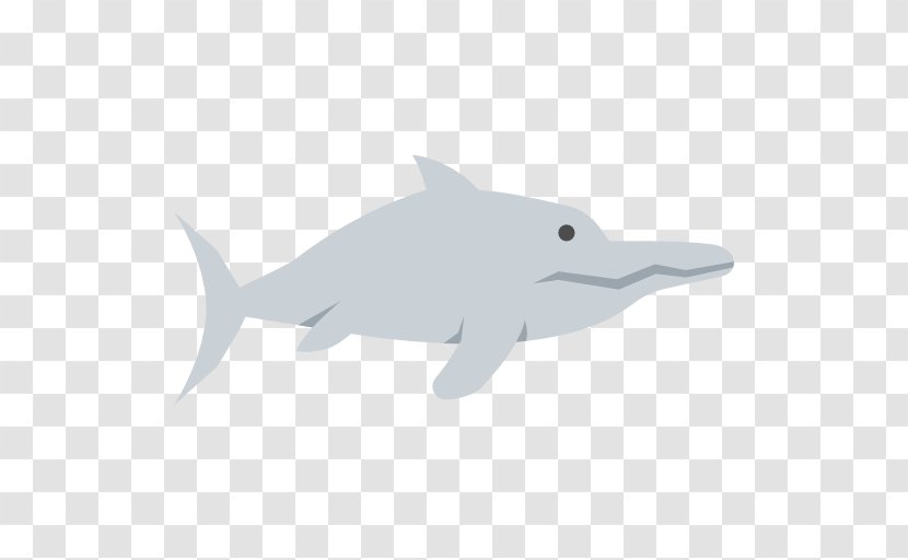 Common Bottlenose Dolphin Tucuxi Rough-toothed Fish Transparent PNG