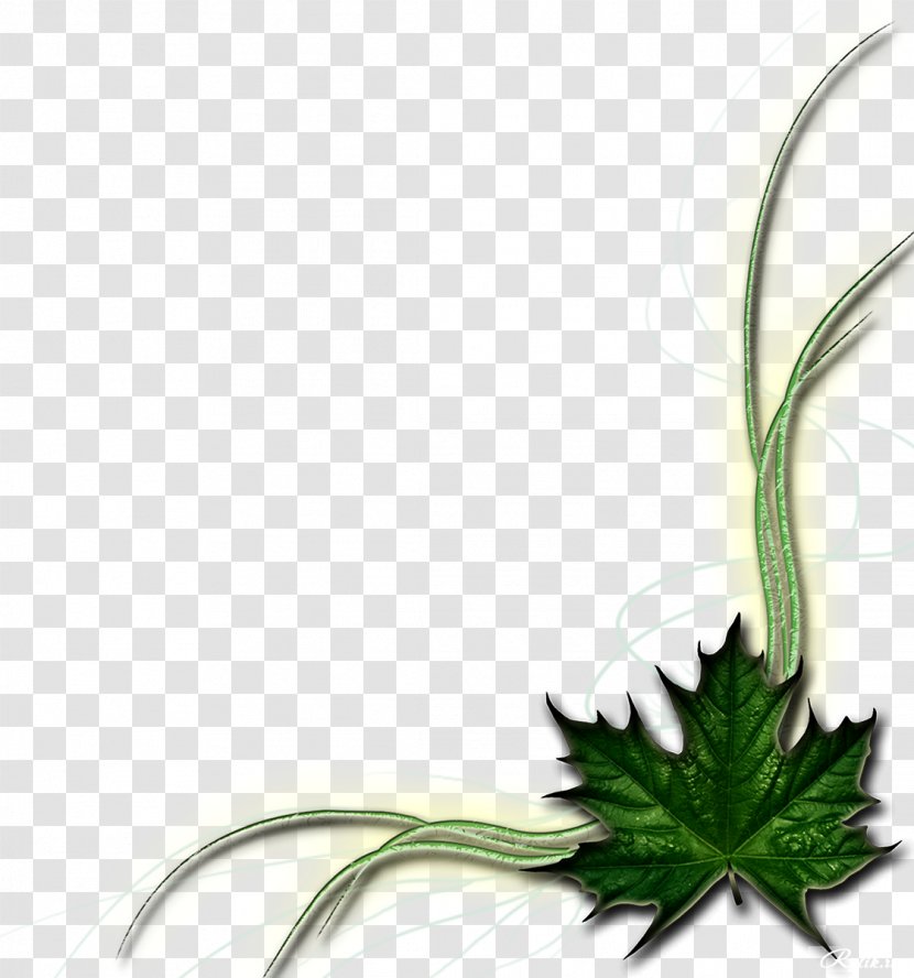 Blog Diary Clip Art - Flower - Photography Transparent PNG