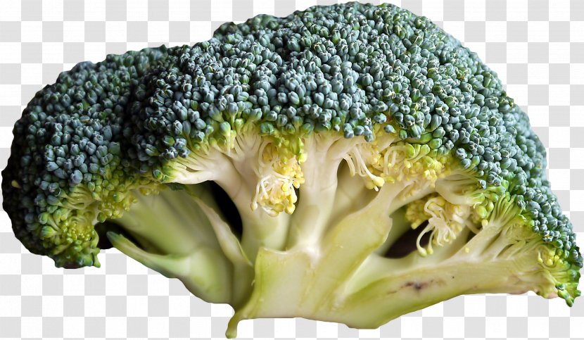 Organic Food Vegetable Broccoli Fruit Transparent PNG