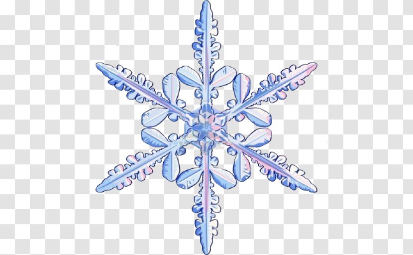 Snowflake Photography - Snow Transparent PNG