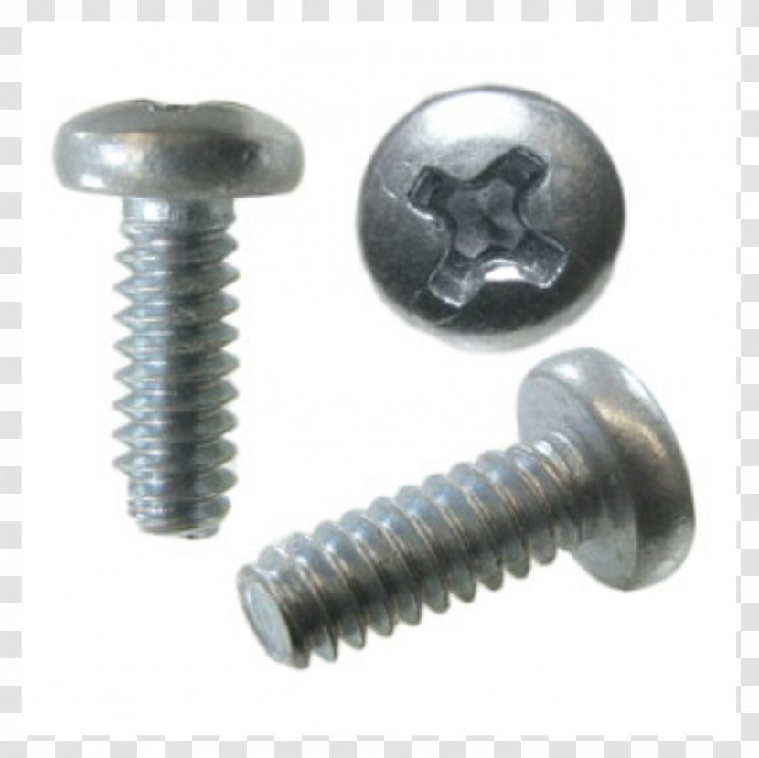Self-tapping Screw Fastener Manufacturing Stainless Steel - Screwdriver Transparent PNG