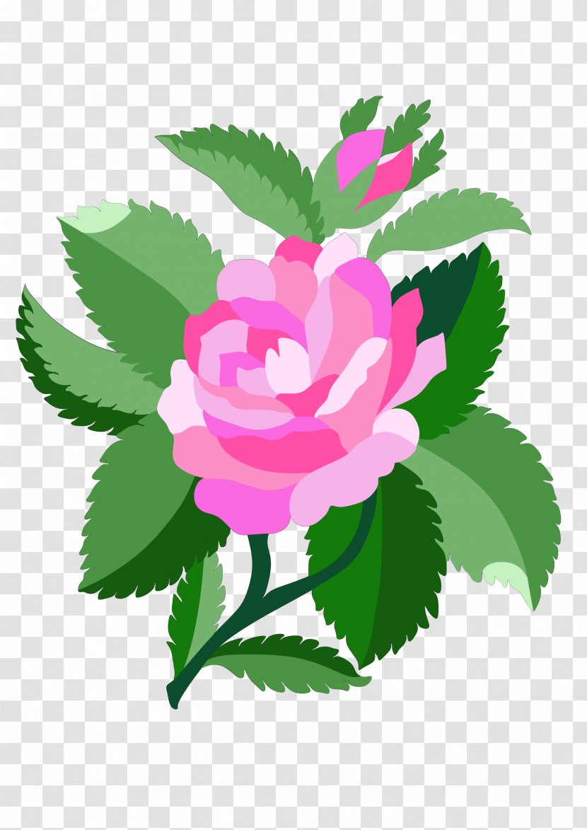 Damask Rose Black Clip Art - Flowering Plant - Love Background Transparent PNG