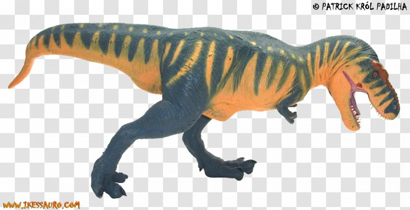 Tyrannosaurus Velociraptor Dilophosaurus Theropods Dinosaur - Terrestrial Animal - T-rex Transparent PNG