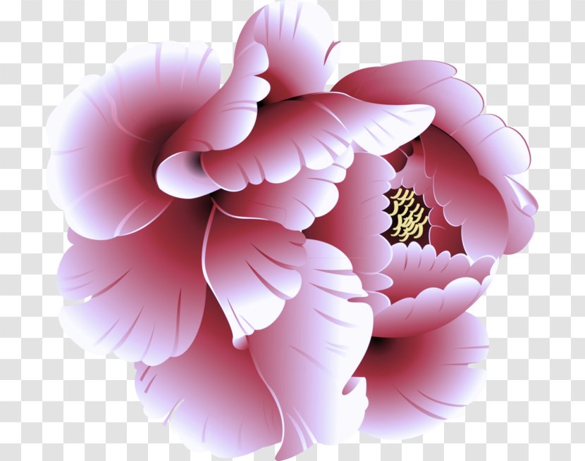 Pink Petal Flower Plant Peony - Flowering Chinese Transparent PNG