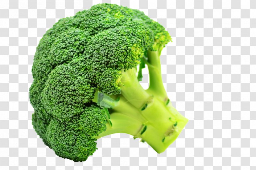 Broccoli Flavor Taste Vegetable Sulforaphane - Eating Transparent PNG