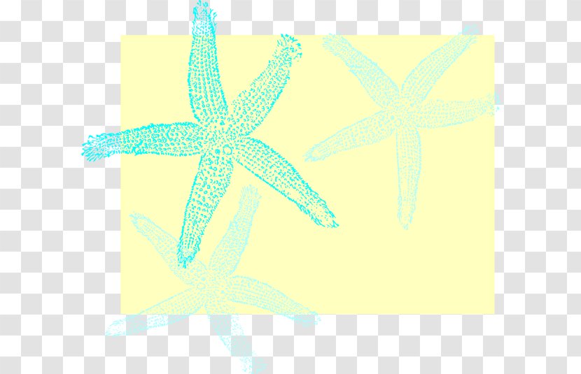 Starfish Desktop Wallpaper Echinoderm Pattern - Aqua Transparent PNG