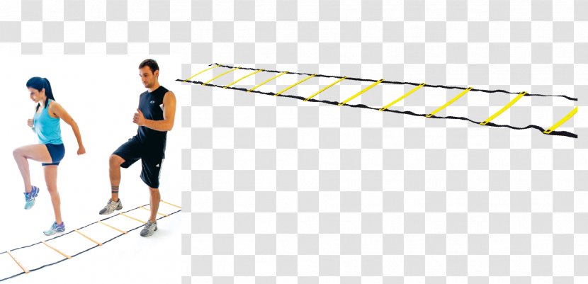 Racket Sport Material - Net - Fitness Meter Transparent PNG