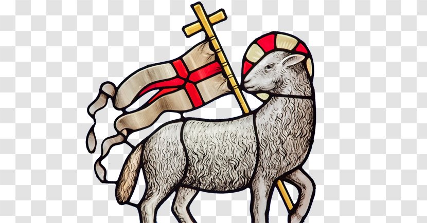 Wine Eucharist Bread First Communion Chalice - Goat Antelope - Lamb Transparent PNG