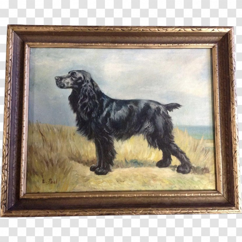 Boykin Spaniel English Cocker Field Sussex Flat-Coated Retriever Transparent PNG