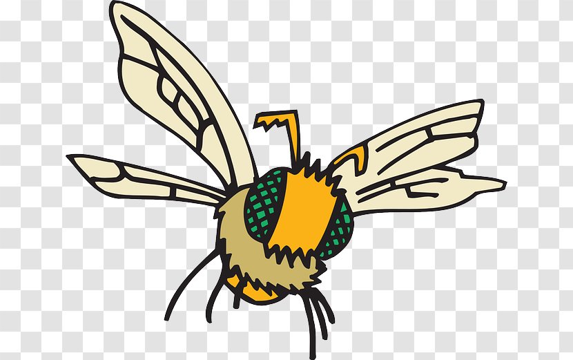 Honey Bee Hornet Pterygota - Yellow - Cracked Turkey Transparent PNG