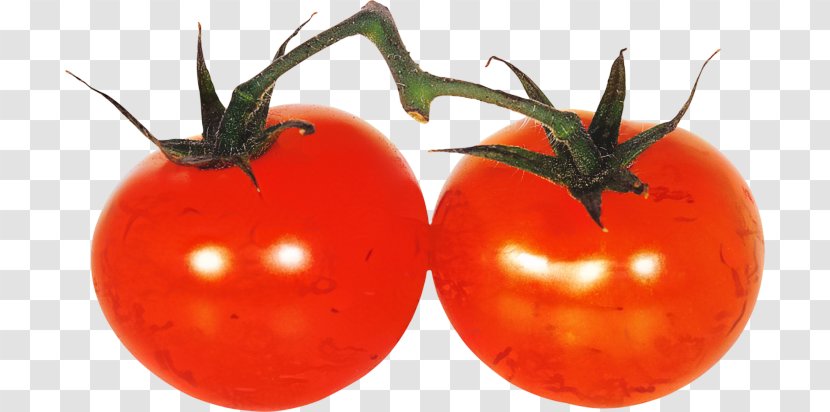 Tomato Cartoon - Natural Foods - Vegetarian Food Nightshade Family Transparent PNG