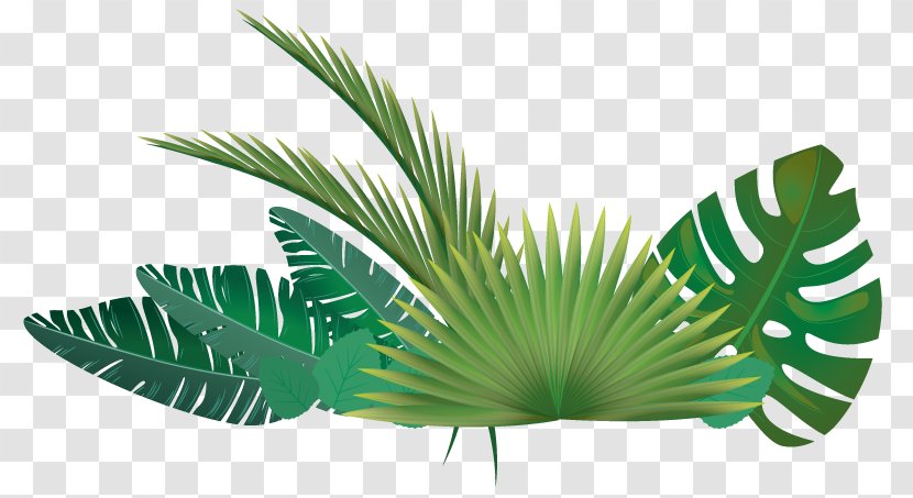 Palm Trees Clip Art Leaf Vector Graphics - Green Leaves - Happy Summer Tropical Transparent PNG