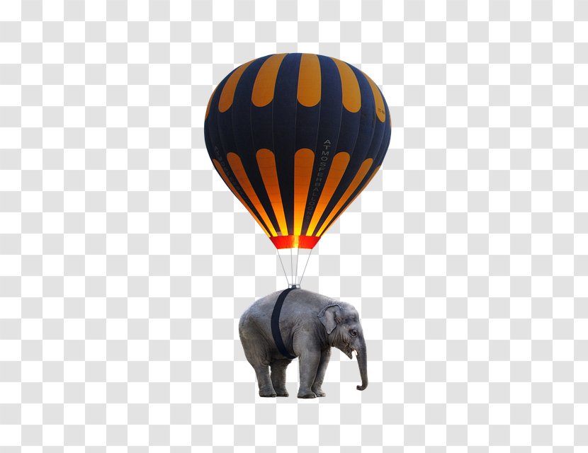Hot Air Ballooning Elephant Toy Balloon - Motif Transparent PNG