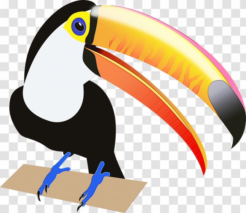 Hornbill Bird - Drawing - Piciformes Transparent PNG