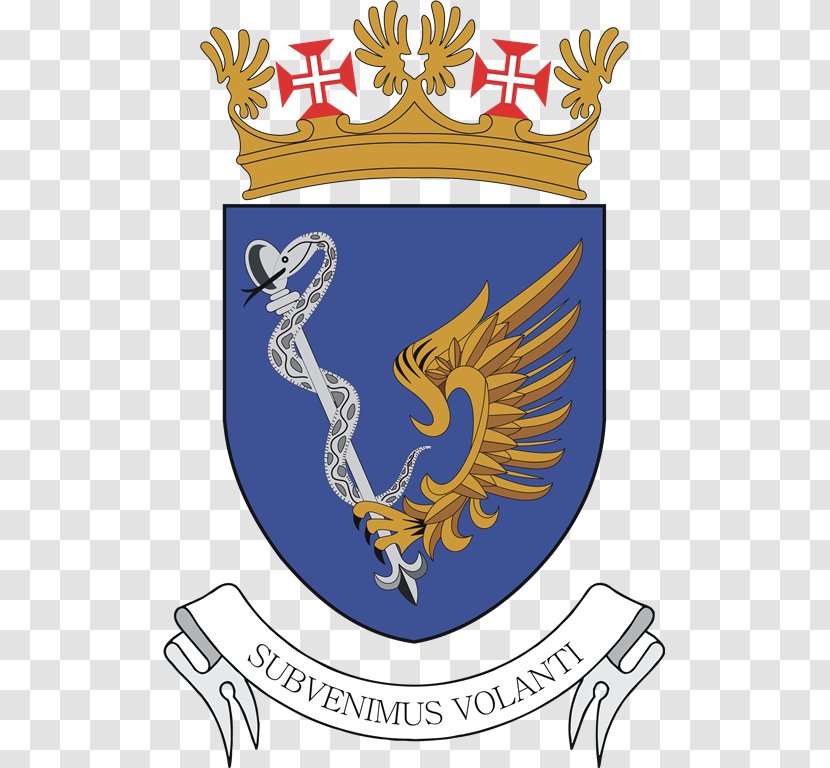 Porto Santo Airport Military Academy Portuguese Air Force - Business Transparent PNG