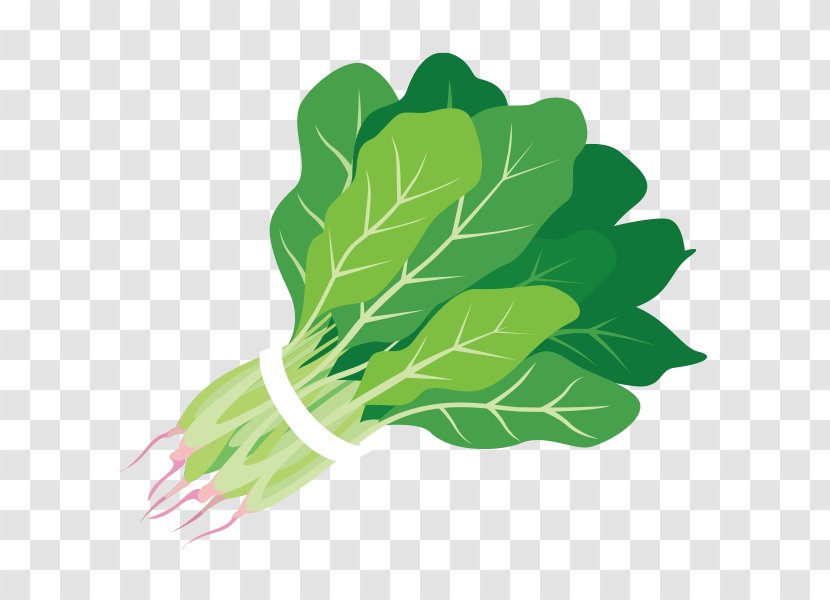 Spinach Food Salad Juice Clip Art - Fruit Transparent PNG