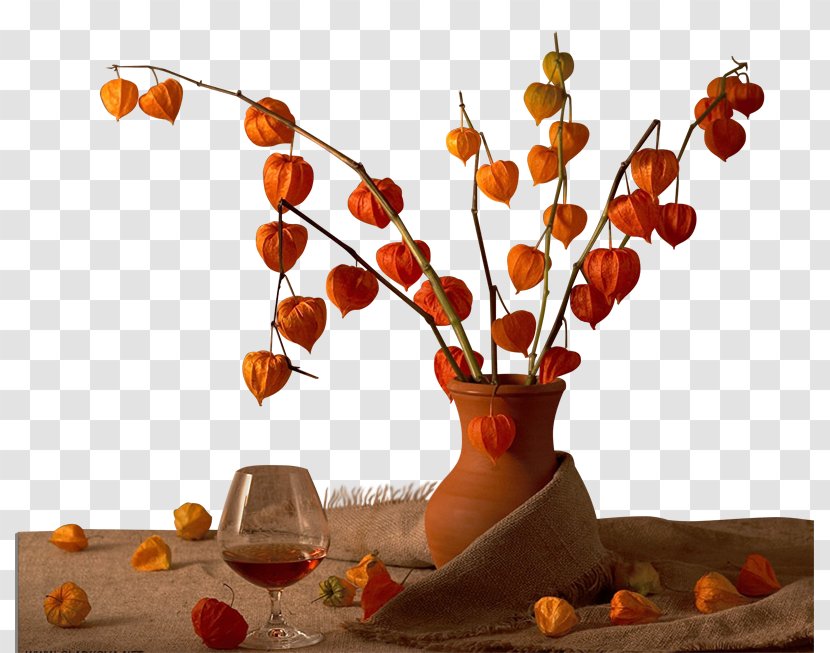 Chocolate Still Life Photography Confectionery - Food Transparent PNG