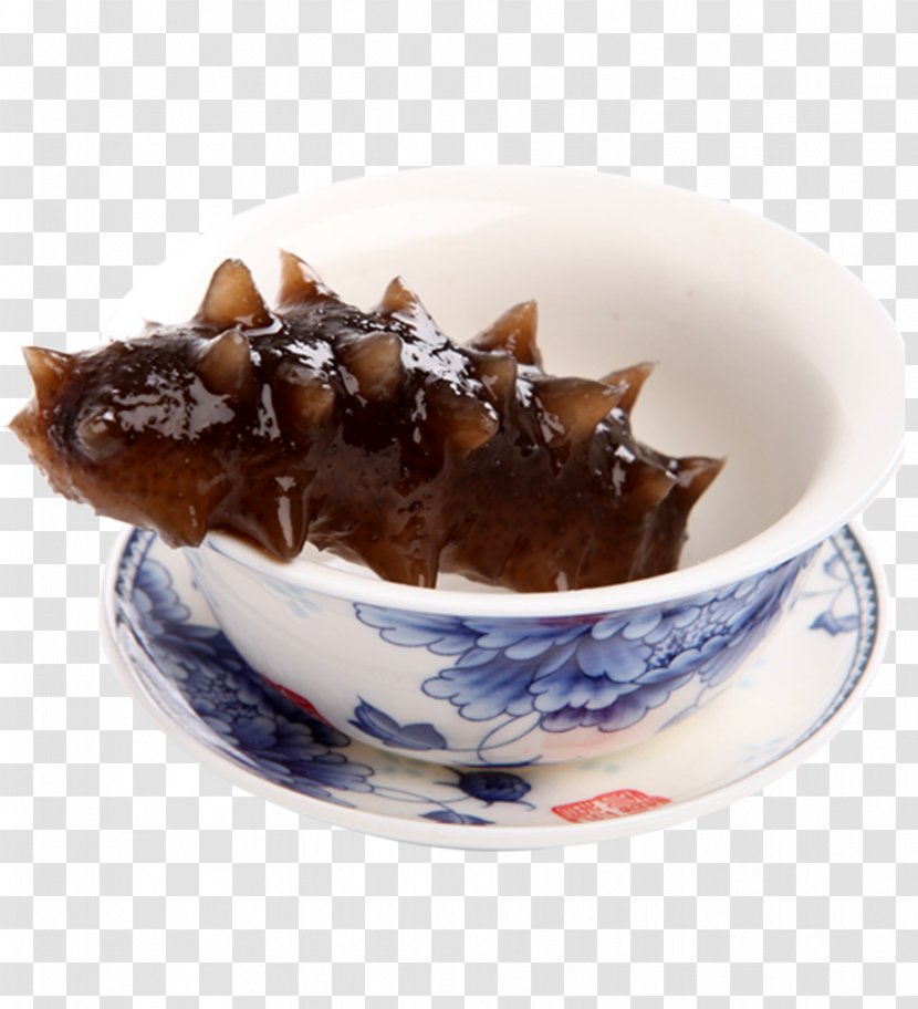 Sea Cucumber As Food Seafood - Fishing Industry Transparent PNG