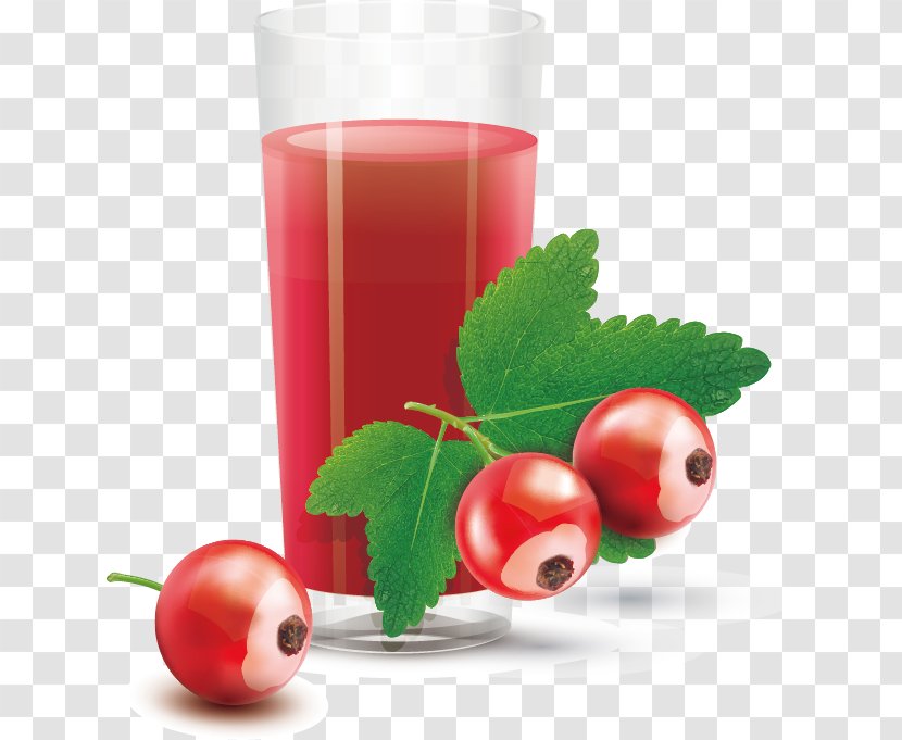 Tomato Juice Cranberry - Berry - Fruit Transparent PNG