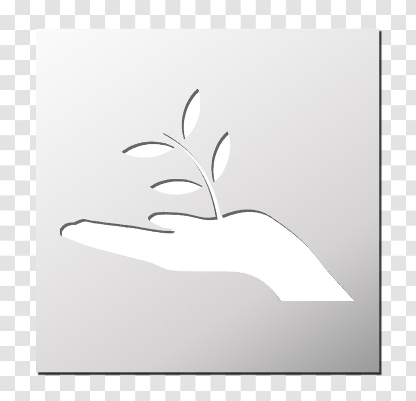 White H&M Leaf Font - Monochrome Transparent PNG