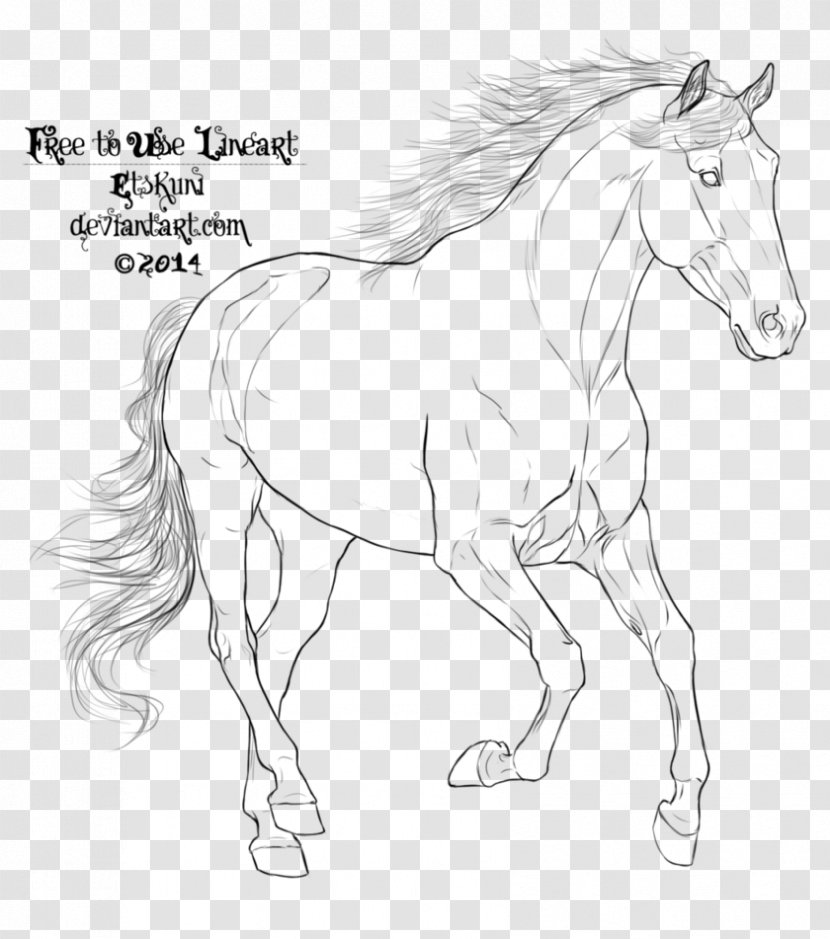 Arabian Horse Mustang Line Art Pony Drawing - Galloping Transparent PNG