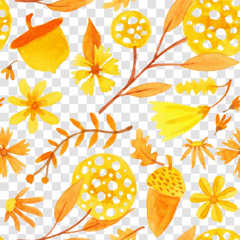 Clip Art - Fruit - Autumn Strong Italian Transparent PNG