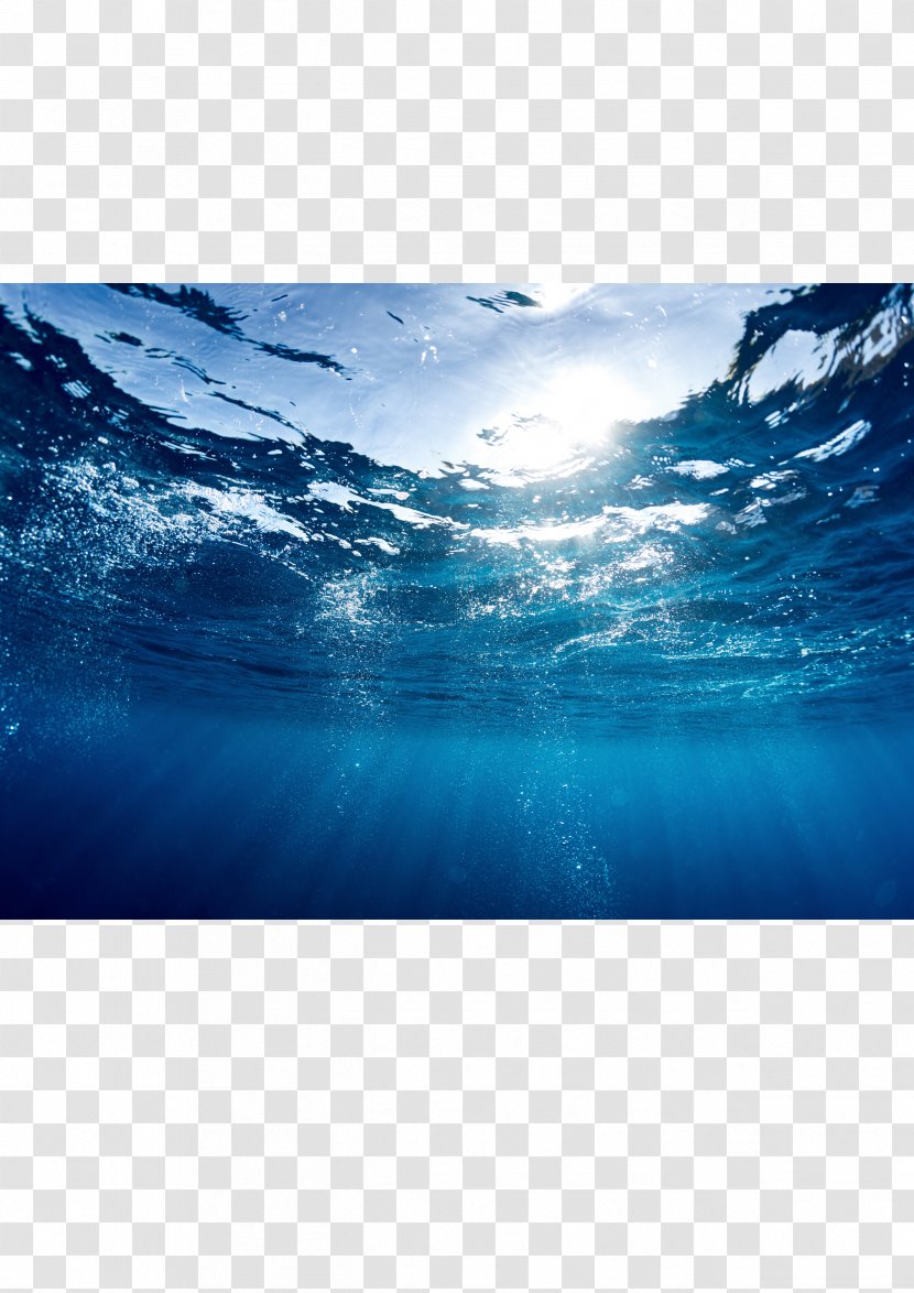 The Blue Economy Light Ocean Sea - Stock Photography Transparent PNG