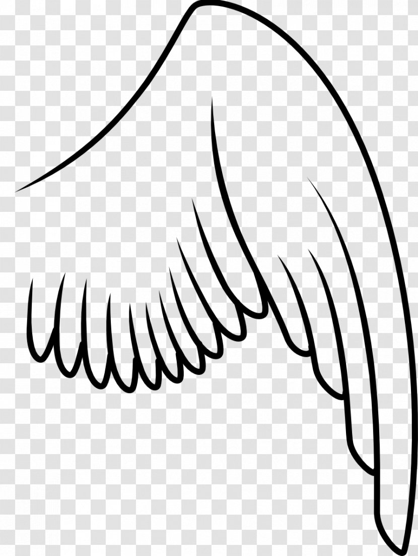Bird Drawing Clip Art - Frame - Wings Transparent PNG