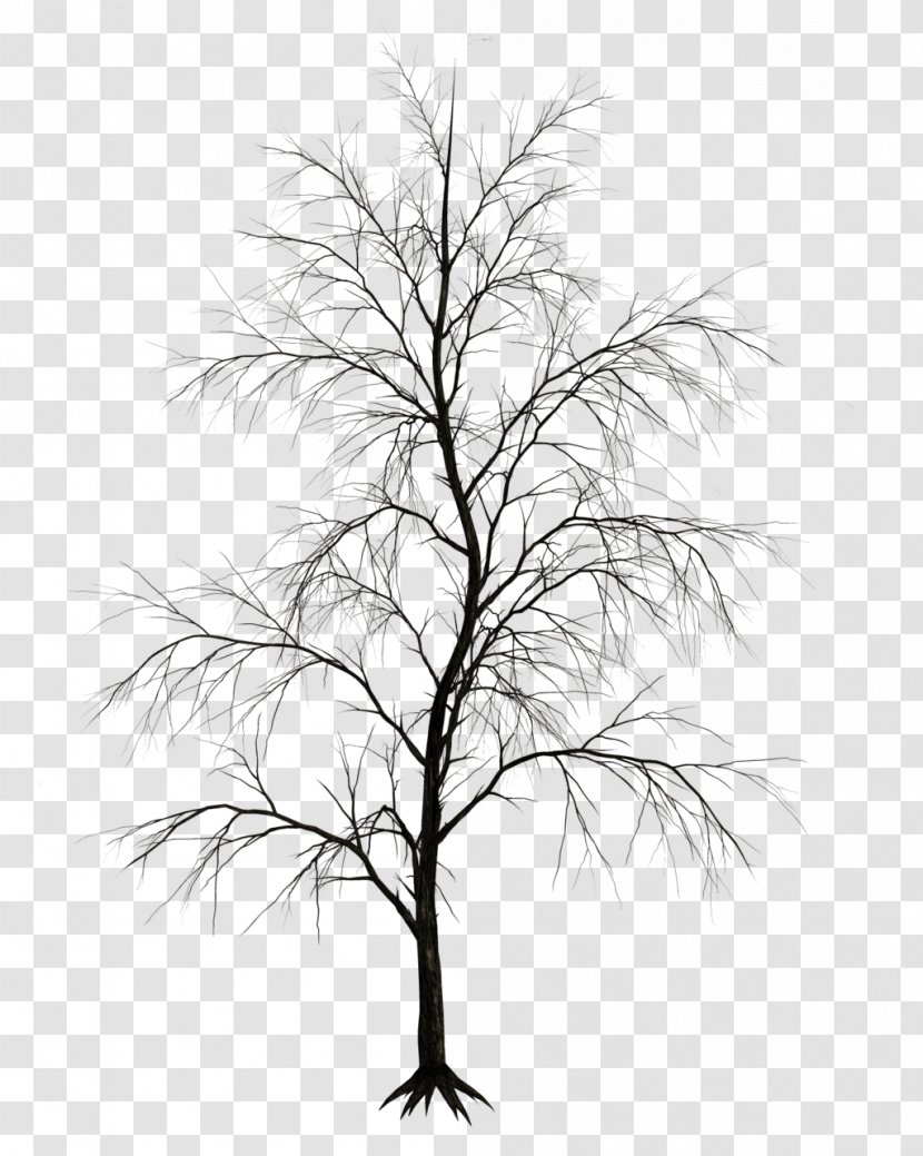 Tree Drawing Branch Clip Art - Leaf - Watercolor Transparent PNG