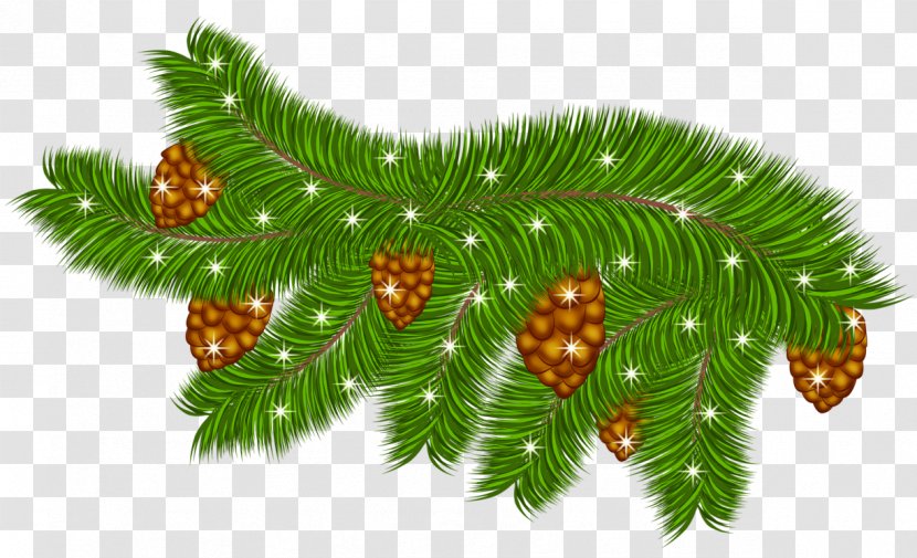 Pine Conifer Cone Christmas Branch Clip Art - Leaves Cliparts Transparent PNG