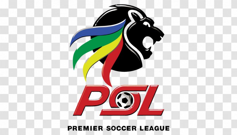 National First Division South Africa Black Leopards F.C. Sports League MTN8 - Brand - Football Transparent PNG