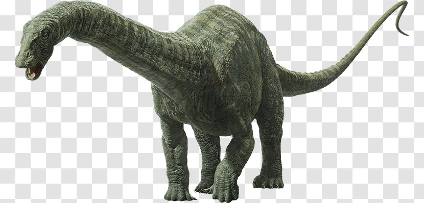 Apatosaurus Universal Pictures Brachiosaurus Dinosaur Jurassic Park - Tail - Lockwood Estate World Transparent PNG