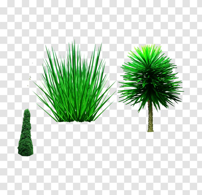 Tree Shrub Plant - Box - ,castle,Cutout,Trees,Trees,,castle,Cutout Transparent PNG