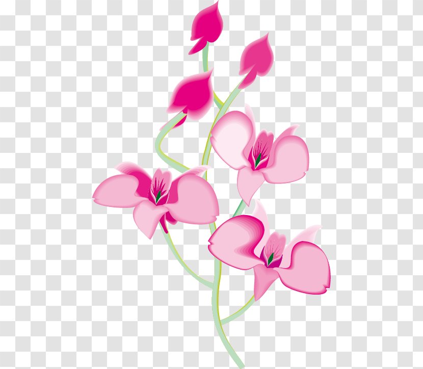 Orchids Animation Clip Art - Branch - Vector Floral Pattern Transparent PNG
