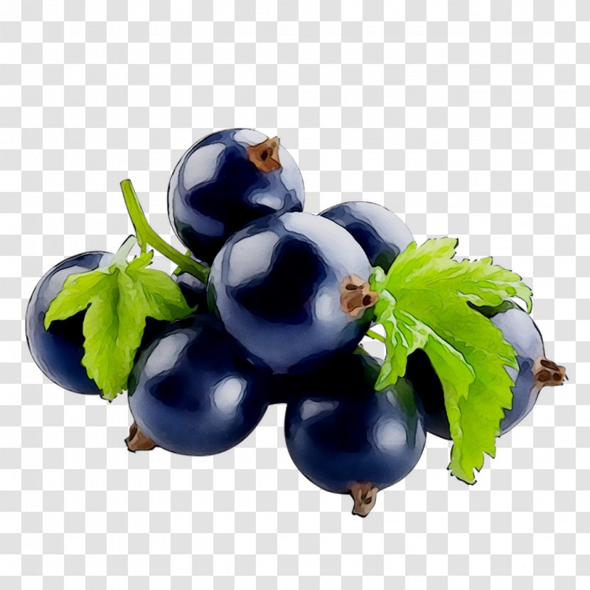 Blackcurrant Bilberry Blueberry Food STXEA NR EUR - Grape - Superfood Transparent PNG