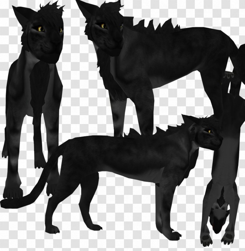 Black Cat Feral Panther Rough Collie - Cartoon Transparent PNG