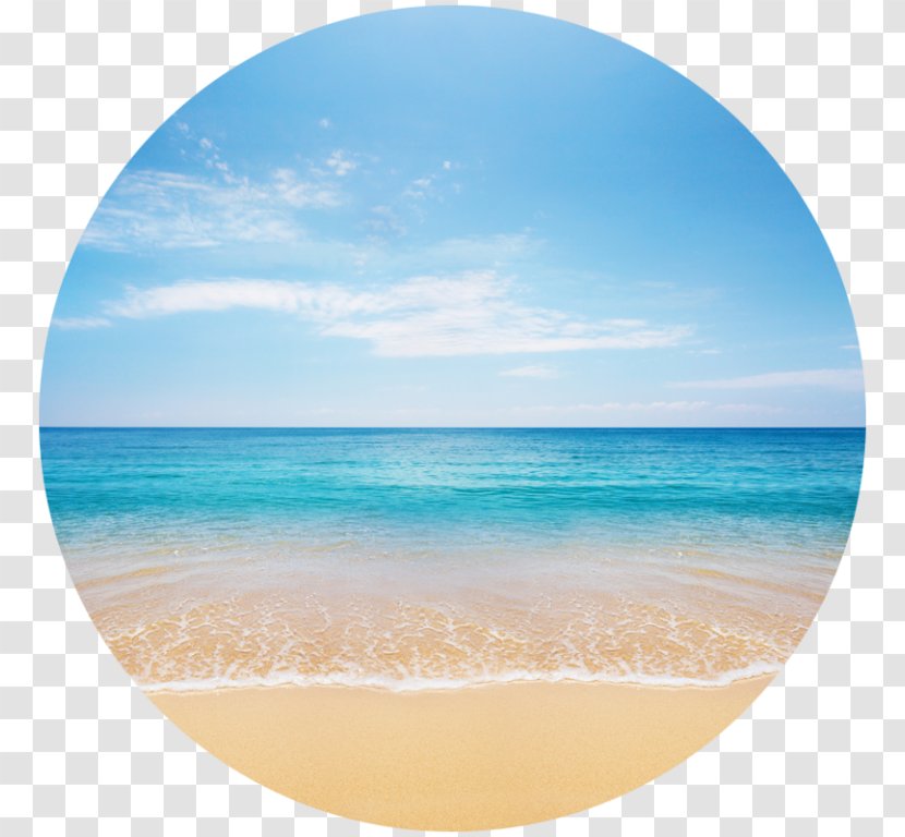 Beach Shore Clip Art - Caribbean Transparent PNG