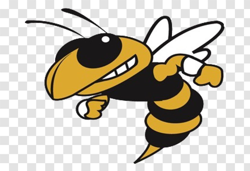 Georgia Tech Yellow Jackets Football Institute Of Technology Men's Track And Field Yellowjacket - Honey Bee - Softball Transparent PNG