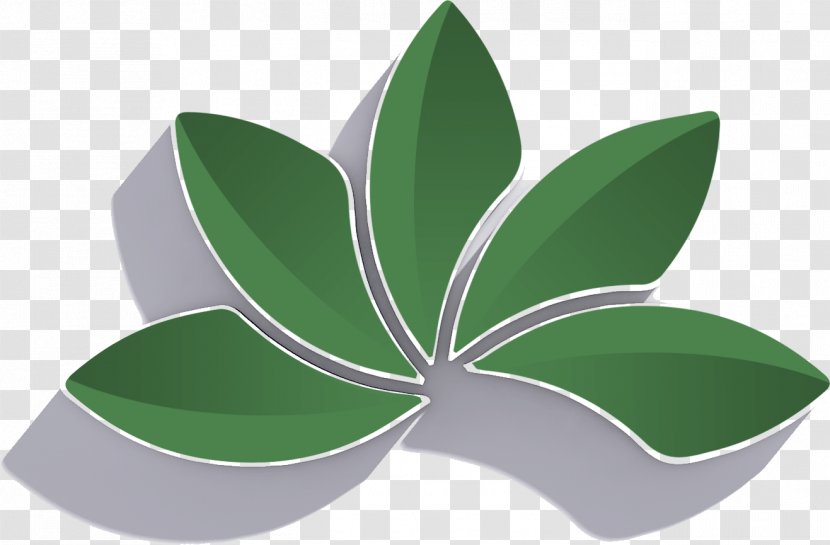 Leaf Symbol Transparent PNG