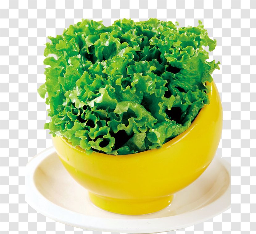 Lettuce Chinese Cuisine Congee Food Zhejiang - Herb - Raw Health Transparent PNG