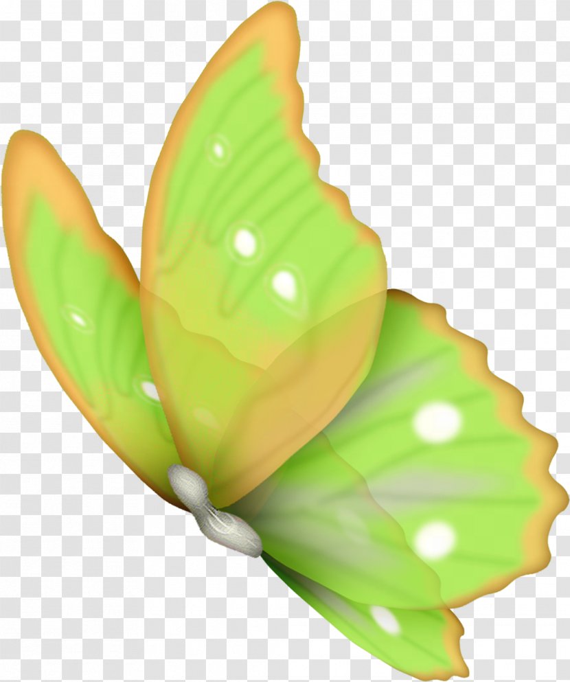 Butterfly Flower Clip Art - Petal - Green Pepper Transparent PNG