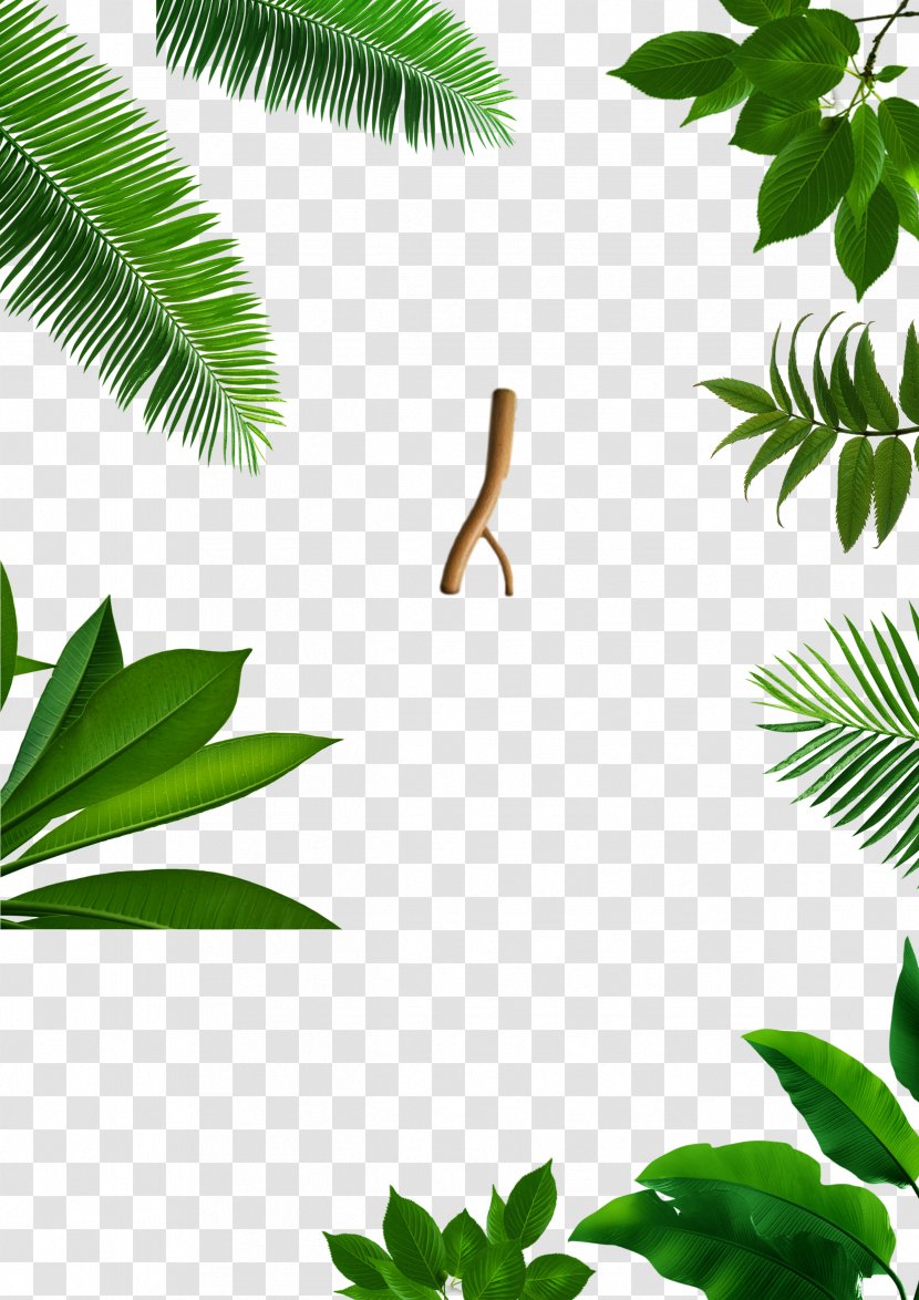 Leaf Price Dinosaur - Raster Graphics - Free Pattern Buckle Transparent PNG