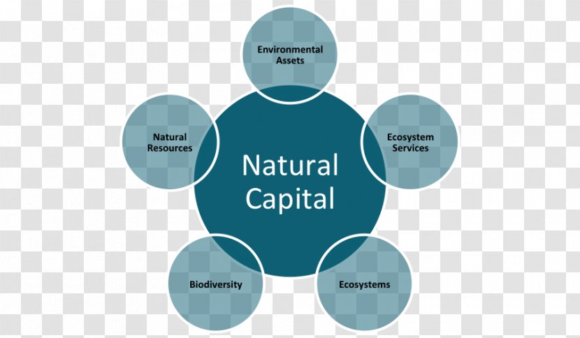 Natural Capital Mattress Nature K. D. Supply Chain Solutions Private Limited Organization - Logo - Downstream Transparent PNG
